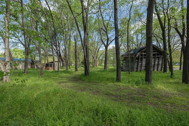 TBD000 Madison 7149 Madison 7149, Hindsville, AR 72738 - photo 15