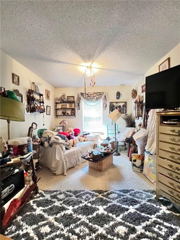 107 Jay Ln, Eureka Springs, AR 72632 - living room with carpet and a textured ceiling