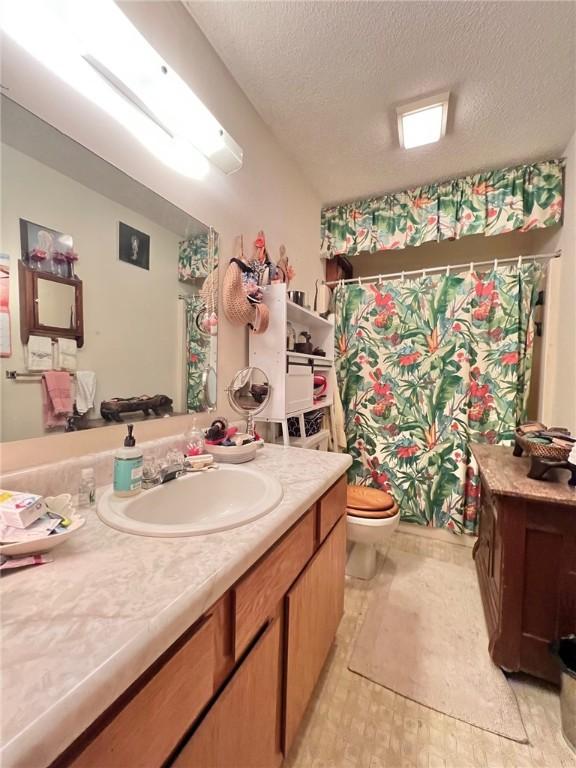 107 Jay Ln, Eureka Springs, AR 72632 - bathroom featuring vanity, a textured ceiling, and a shower with curtain