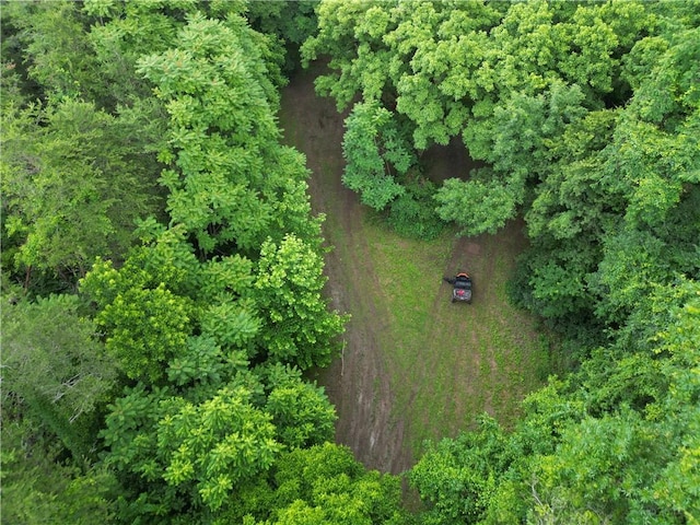 TBD NC-7460, Deer, AR 72628 - photo 17