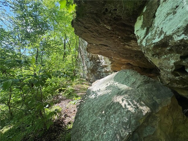 TBD NC-7460, Deer, AR 72628 - photo 44