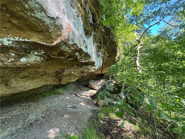 TBD NC-7460, Deer, AR 72628 - photo 48