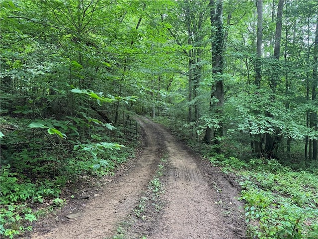 TBD NC-7460, Deer, AR 72628 - photo 51