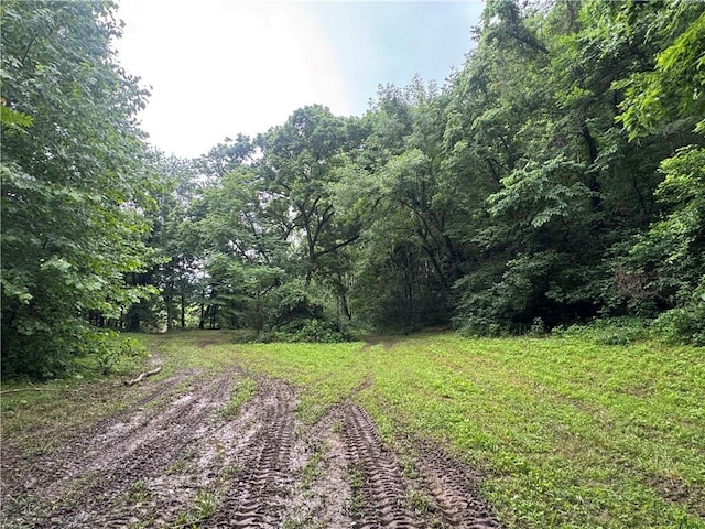 TBD NC-7460, Deer, AR 72628 - photo 53