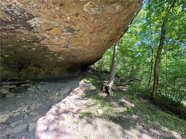 TBD NC-7460, Deer, AR 72628 - photo 40