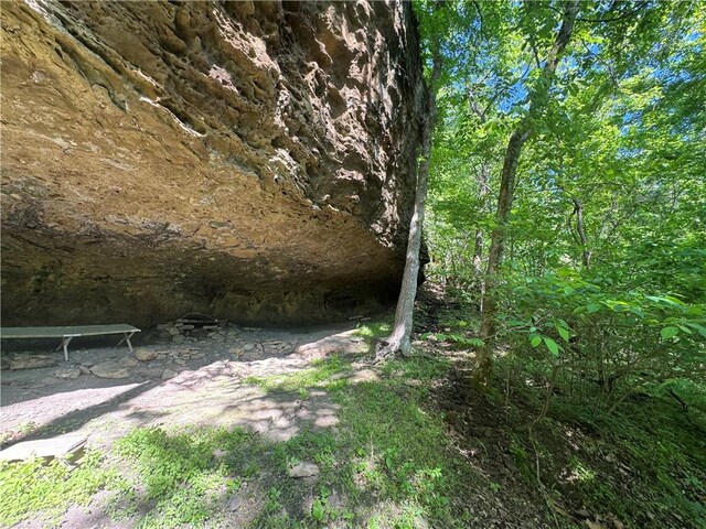 TBD NC-7460, Deer, AR 72628 - photo 41