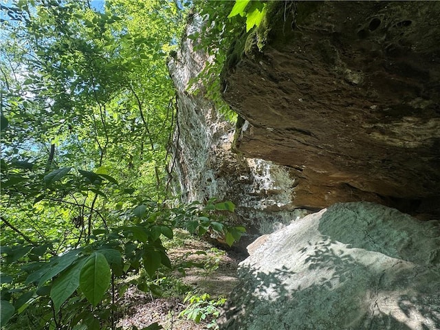 TBD NC-7460, Deer, AR 72628 - photo 43