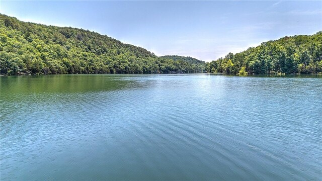 1629 County Road 150, Eureka Springs, AR 72632 - photo 41