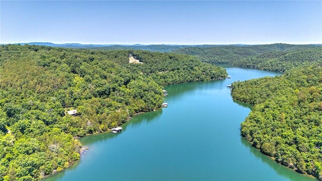 1629 County Road 150, Eureka Springs, AR 72632 - photo 43