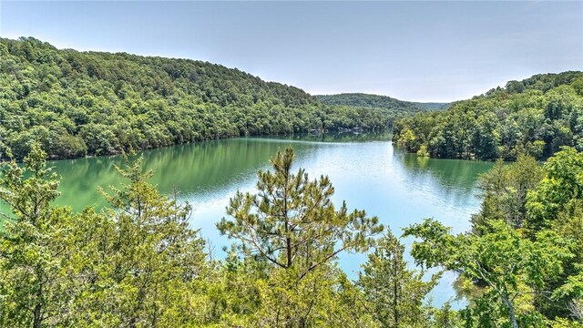 1629 County Road 150, Eureka Springs, AR 72632 - photo 44