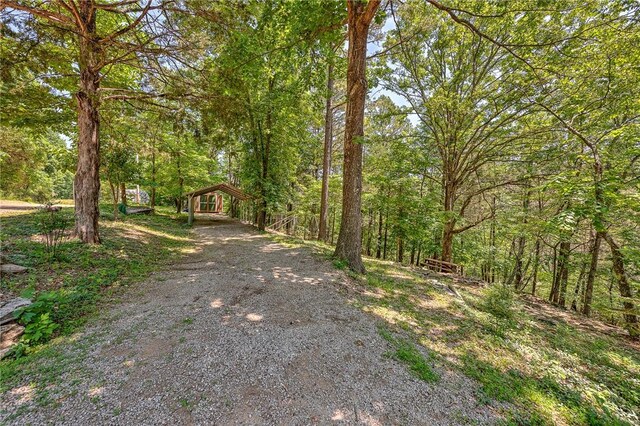 1629 County Road 150, Eureka Springs, AR 72632 - photo 34