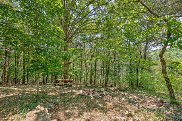 1629 County Road 150, Eureka Springs, AR 72632 - photo 35