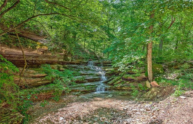 1629 County Road 150, Eureka Springs, AR 72632 - photo 38