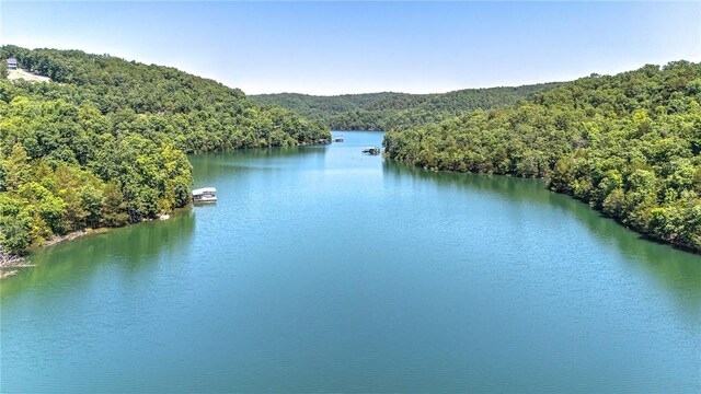 1629 County Road 150, Eureka Springs, AR 72632 - photo 39