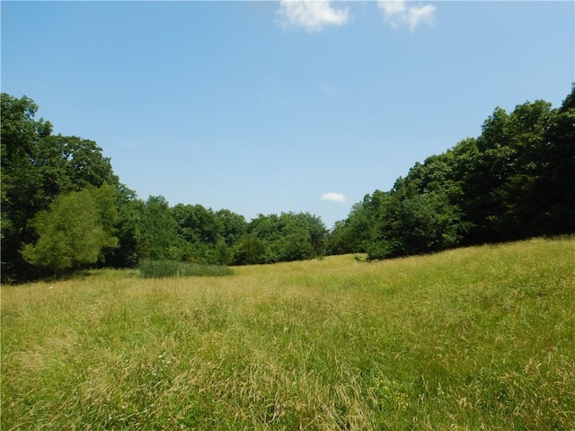 TBD Madison 2700, Kingston, AR 72742 - photo 20