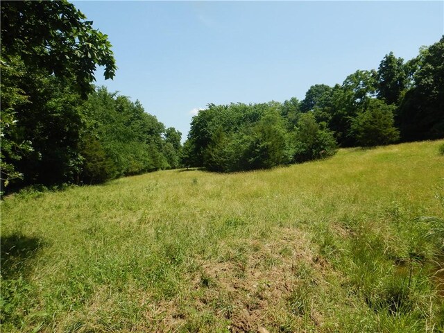 TBD Madison 2700, Kingston, AR 72742 - photo 21