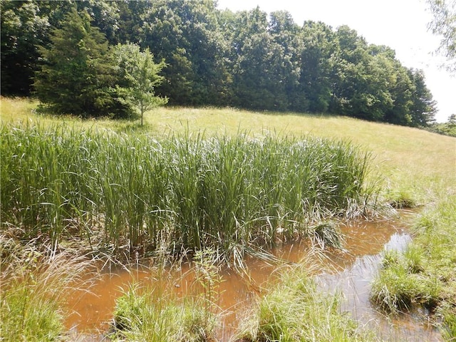 TBD Madison 2700, Kingston, AR 72742 - photo 22