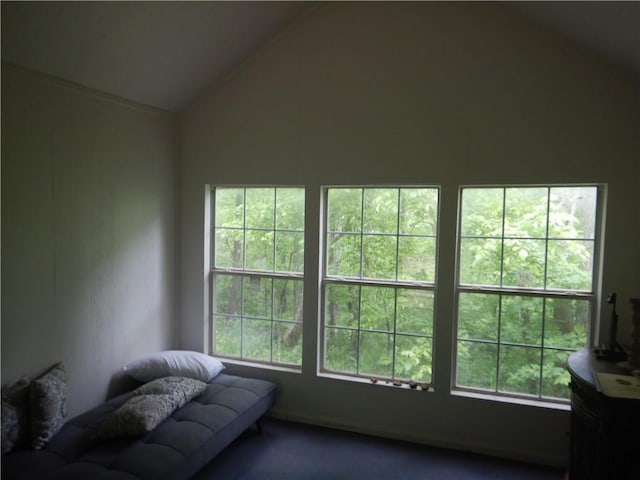 TBD Madison 2700, Kingston, AR 72742 - photo 28