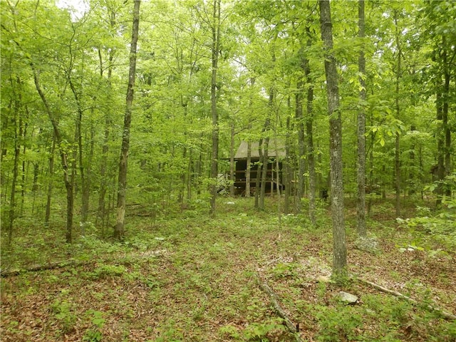 TBD Madison 2700, Kingston, AR 72742 - photo 40
