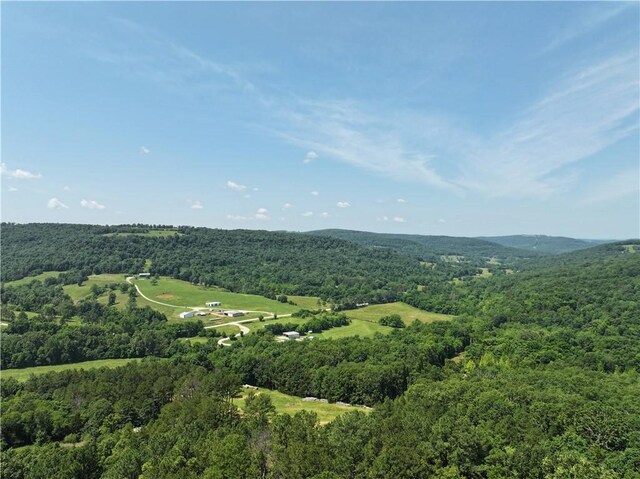 TBD Madison 2700, Kingston, AR 72742 - photo 4