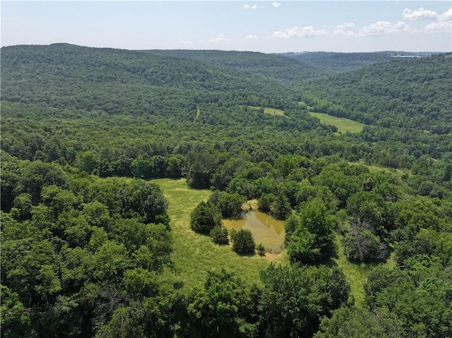 TBD Madison 2700, Kingston, AR 72742 - photo 1