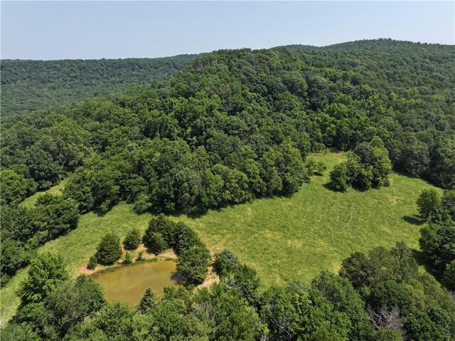 TBD Madison 2700, Kingston, AR 72742 - photo 2