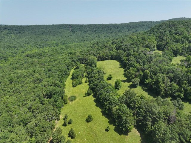 TBD Madison 2700, Kingston, AR 72742 - photo 5
