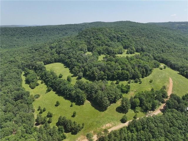 TBD Madison 2700, Kingston, AR 72742 - photo 6