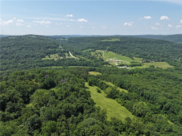 TBD Madison 2700, Kingston, AR 72742 - photo 7