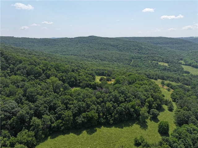 TBD Madison 2700, Kingston, AR 72742 - photo 8