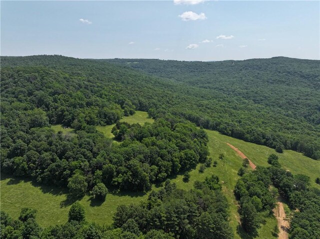 TBD Madison 2700, Kingston, AR 72742 - photo 9