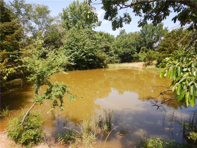 TBD Madison 2700, Kingston, AR 72742 - photo 10