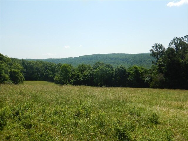 TBD Madison 2700, Kingston, AR 72742 - photo 12