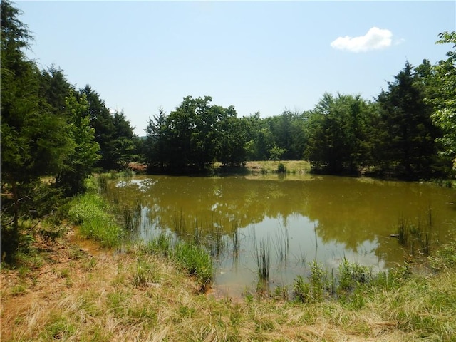 TBD Madison 2700, Kingston, AR 72742 - photo 11