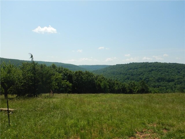 TBD Madison 2700, Kingston, AR 72742 - photo 14