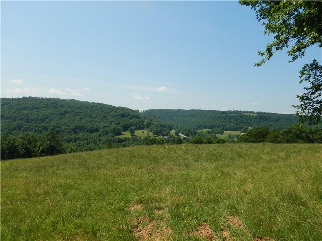 TBD Madison 2700, Kingston, AR 72742 - photo 15