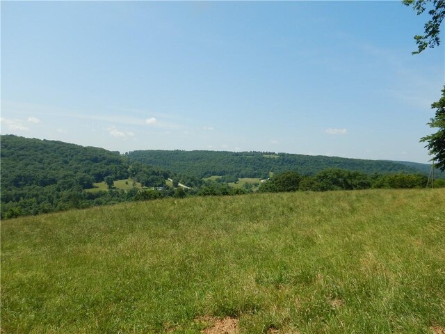 TBD Madison 2700, Kingston, AR 72742 - photo 16