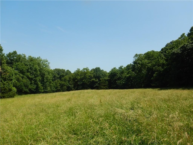 TBD Madison 2700, Kingston, AR 72742 - photo 17