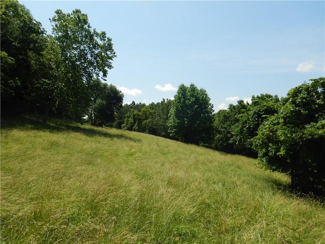 TBD Madison 2700, Kingston, AR 72742 - photo 18