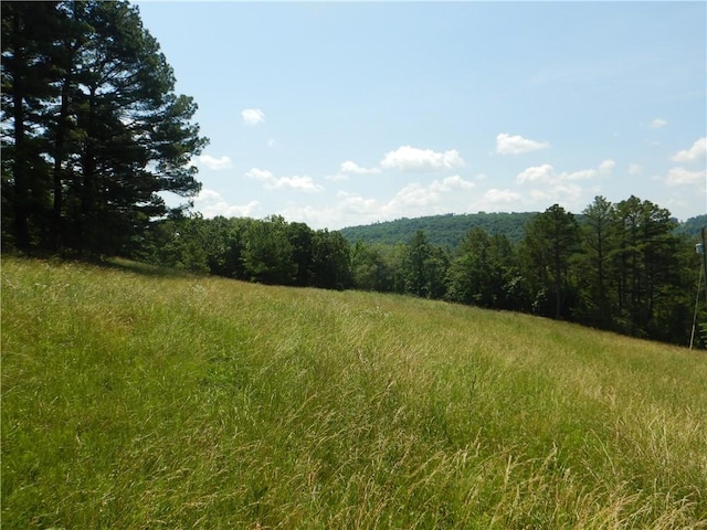 TBD Madison 2700, Kingston, AR 72742 - photo 19
