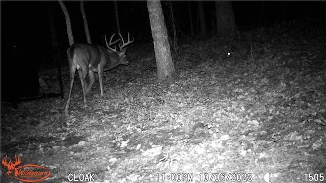 TBD Madison 2700, Kingston, AR 72742 - photo 55