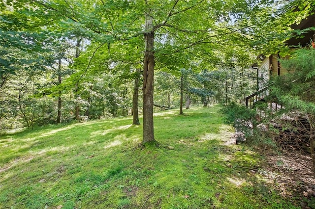 62 Dickenshire Dr, Bella Vista, AR 72714 - photo 22