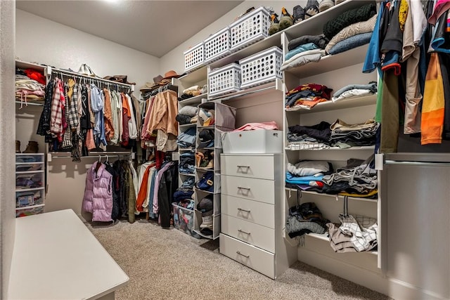 320 Bequette Ln, Centerton, AR 72719 - walk in closet featuring carpet