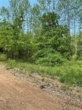 Arabian Dr, Rogers, AR 72756 - photo 1