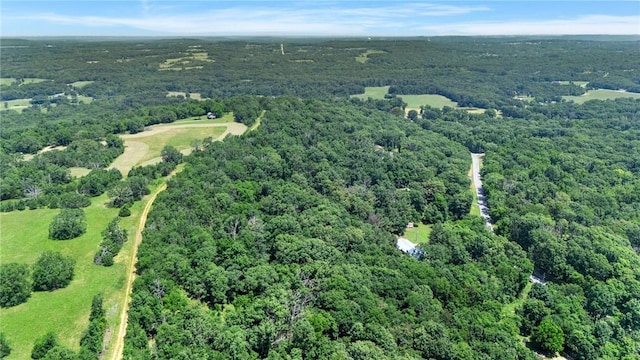 18084 Posy Mountain Dr, Rogers, AR 72756 - photo 56