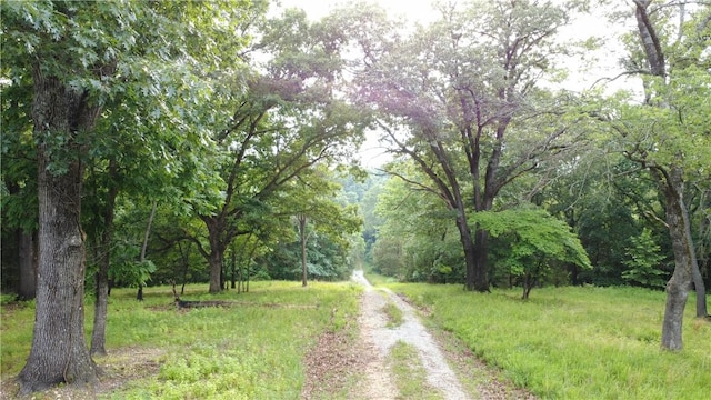 345 County Road 665, Oak Grove, AR 72660 - photo 35