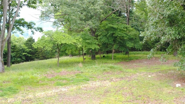345 County Road 665, Oak Grove, AR 72660 - photo 36