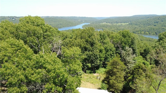 345 County Road 665, Oak Grove, AR 72660 - photo 40