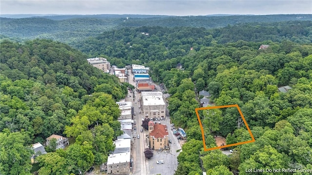 32 Armstrong St, Eureka Springs, AR 72632 - view of property location featuring a forest and property boundaries highlighted