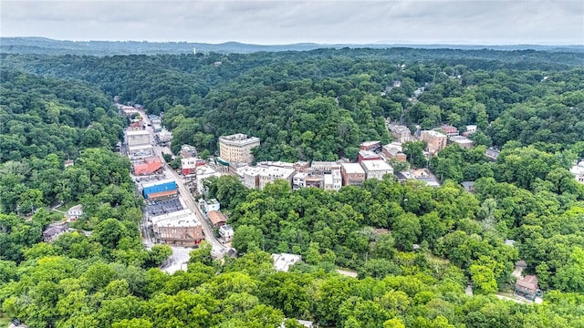 32 Armstrong St, Eureka Springs, AR 72632 - aerial view of property and surrounding area featuring a forest